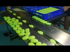 Doppelfrequente automatische Kissenverpackungsmaschine für Kekse-Cookie-Mooncake